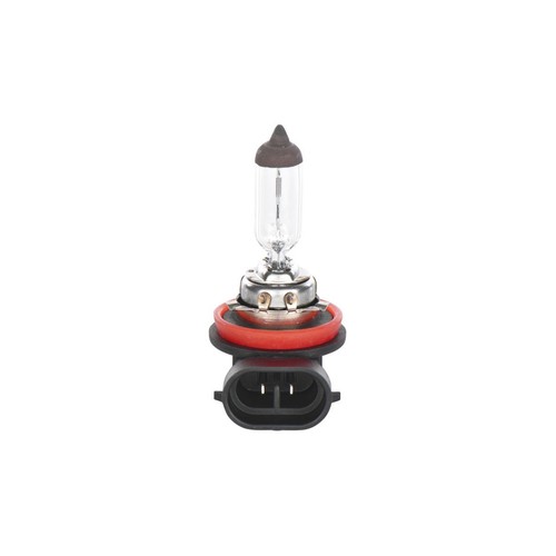 Lampadina fendinebbia pure - lampadina,,