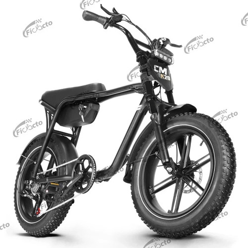 Bicicletta elettrica
