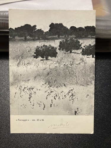 Carlo mattioli brochure - carlo,
