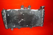 RADIATORE TRIUMPH 1050 SPEED