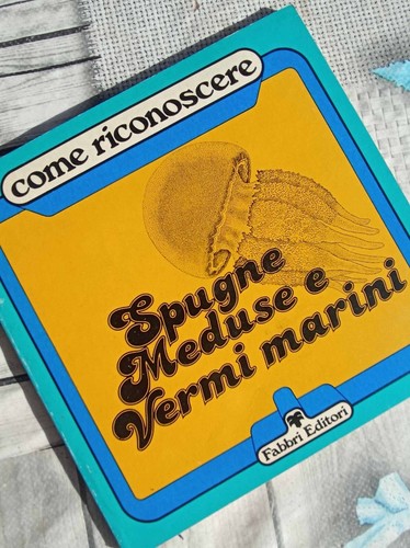 Come riconoscere spugne - come,