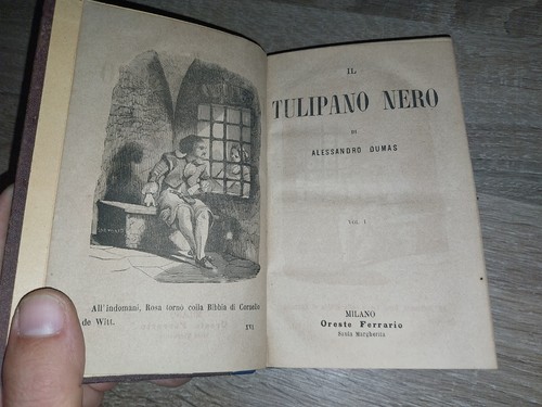 Dumas tulipano nero 2 - a.;, ,