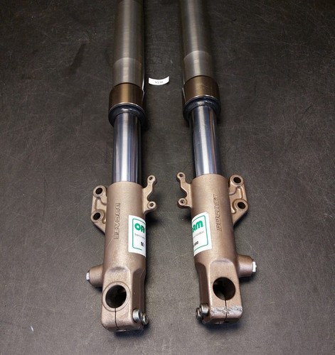Coppia steli forcella ducati - steli,
