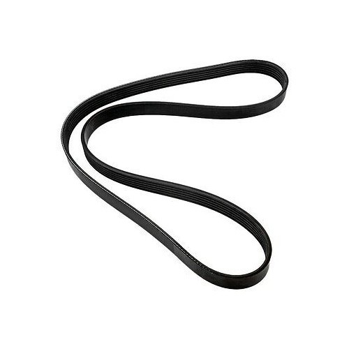 Cinghia serpentina per volvo - cinghia,