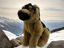 Pastore tedesco malinois - tedesco,