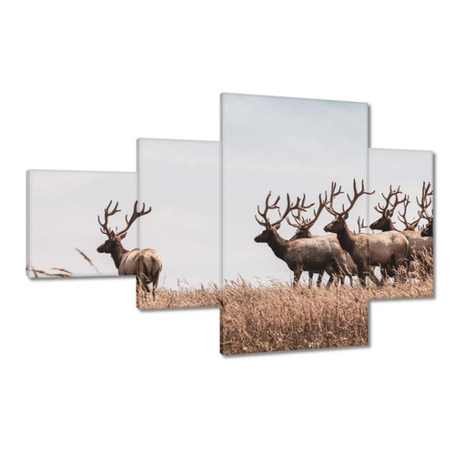 Quadro tela da - quadro,