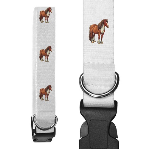Collari per cani - , 'cavallo
