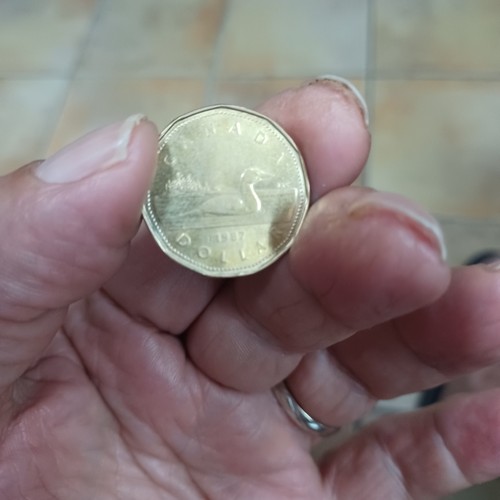 Dollaro canadese regina - canadese,