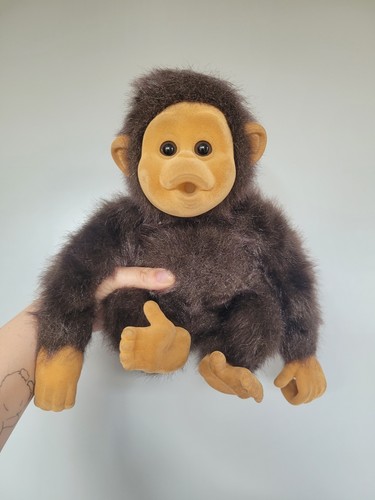Hosung little monkey - hosung,