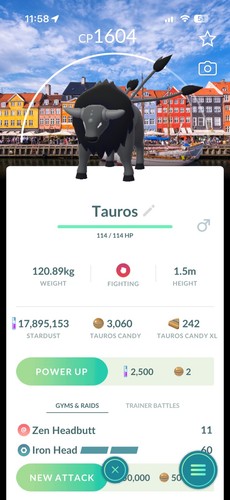 Sfondo tauros combat - sfondo,