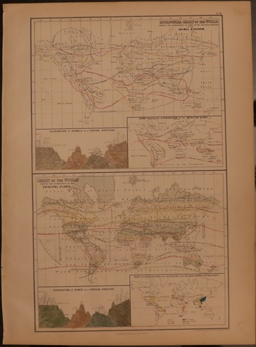 Carta zoologica mappa delle - e,