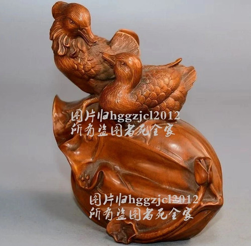 Antica statua coppia anatre