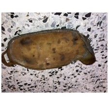 Vassoio Zampa D’Elefante. In