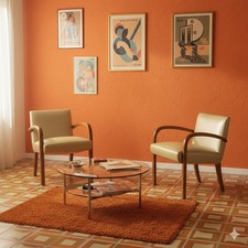 Poltrone Vintage Faggio Skai