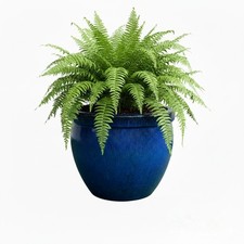 Fioriera Teramico ceramica