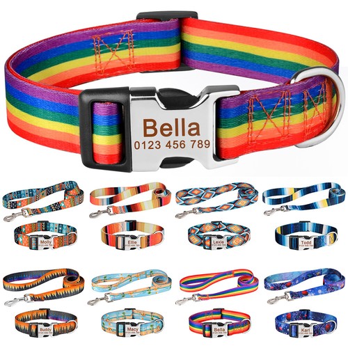 Set collare guinzaglio per - set,
