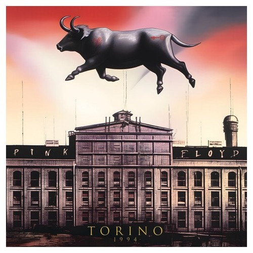 Pink floyd torino - pink,