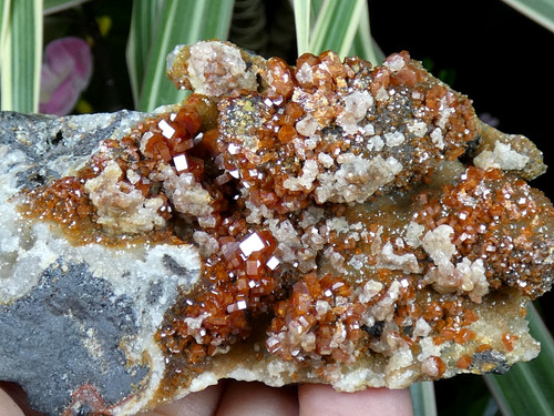 Vanadinite rouge cristaux