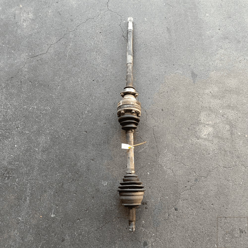 51771729 semialbero ant - 51771729,