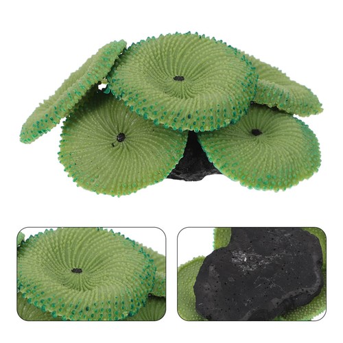 Decorazioni per acquario con - ,