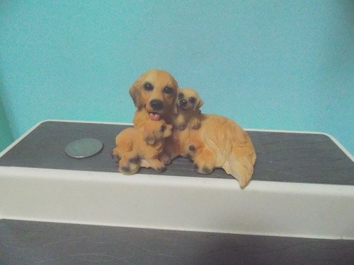 Golden retriever mom and - retriever,