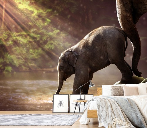Carta parati animal - da, 3d