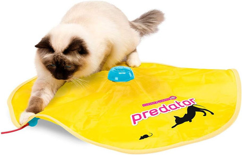 Gioco gatto interattivo - gioco,