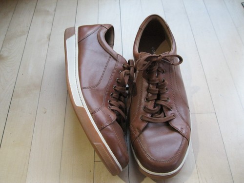 Sneaker oxford cole haan - cole,