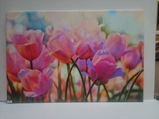  Canvas Dipinto...stampa Su
