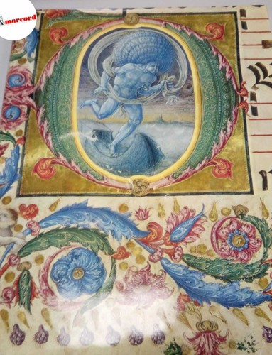Ciardi dupre i corali - ciardi,