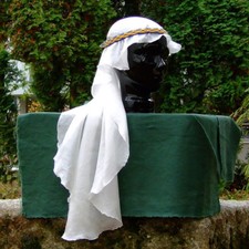 Donna Veste Medioevo