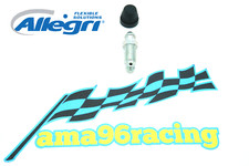 VITE SPURGO ALLEGRI CON TAPPO IN GOMMA 7x1 mm