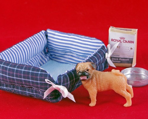 Cucciolo cane boxer - boxer, lounger