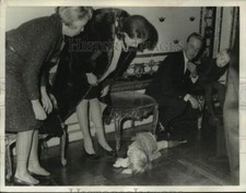 1966 Stampa Foto Desiree