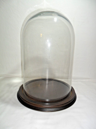 Campana vetro completa di - in,