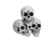 3 pezzi - Set di 3 Teschi