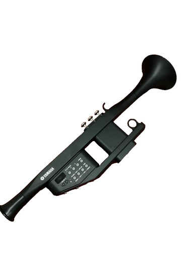 Yamaha strumento canto - ez-tp,