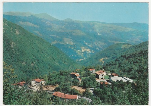 Pian degli ontani pistoia - ontani,