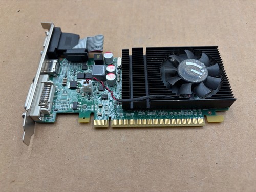 Scheda grafica ddr3 evga - scheda,