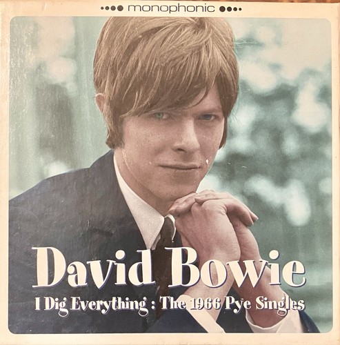 David bowie i dig - david,