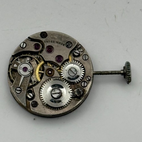 Glicina movimento orologio - movimento,