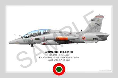 Aermacchi 339cd squadron - aermacchi,