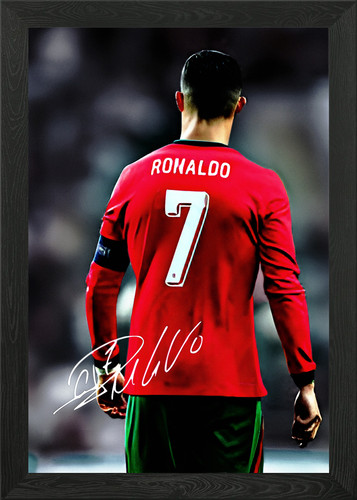 Quadro stampa tela poster - quadro,