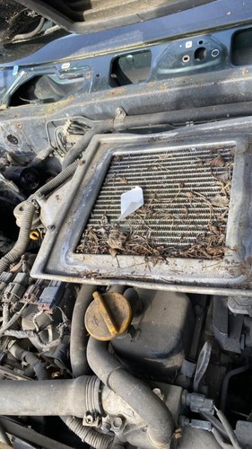Scambiatore aria - , (intercooler)