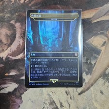 Magic The Gathering Path of