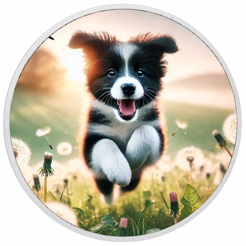 Salto della fortuna 1oz - della,
