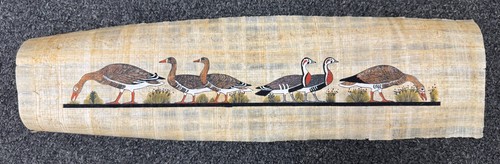 Autentico papyrus egiziano - autentico,