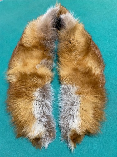 Collo volpe sciarpa di - collo,