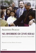 Agostino Picicc Nel riverbero