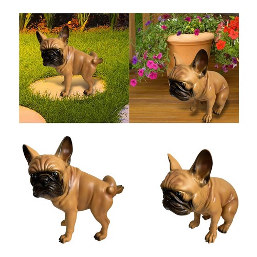 Statua bulldog francese - di,